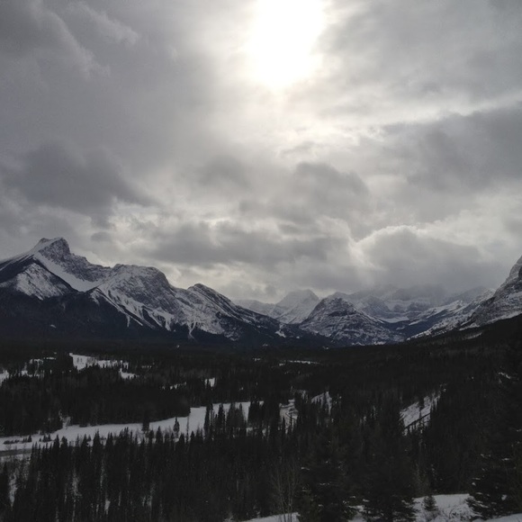 Meet your Posher, Gul - Picture 1 of 1